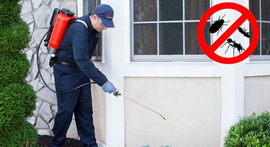 Bayramiç Karınca İlaçlama böcek ilaçlama ve haşere kontrolü — ilaclama-tr.com